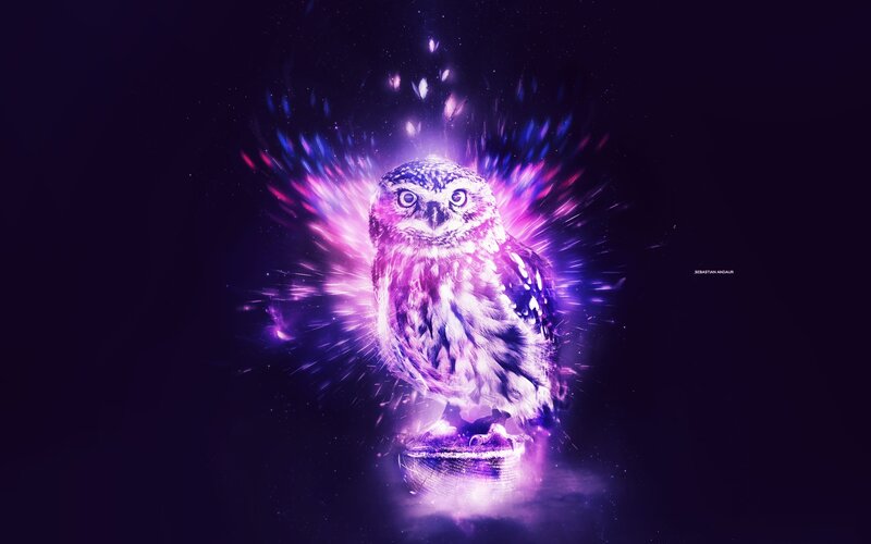 Glowing Owl in Purple Light