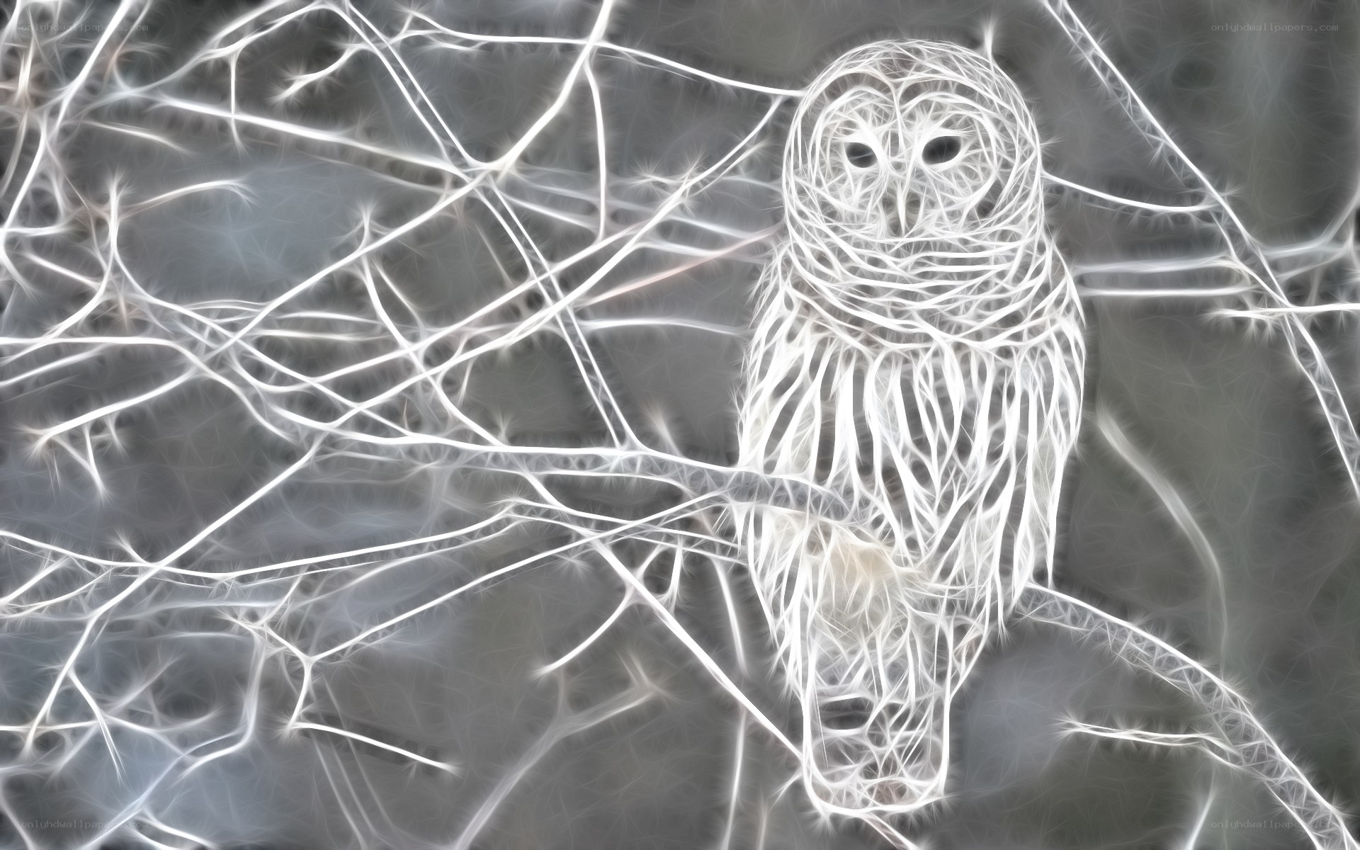 glowing owl on branches