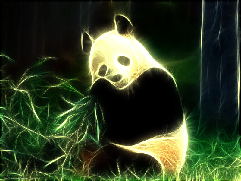 glowing panda in forest
