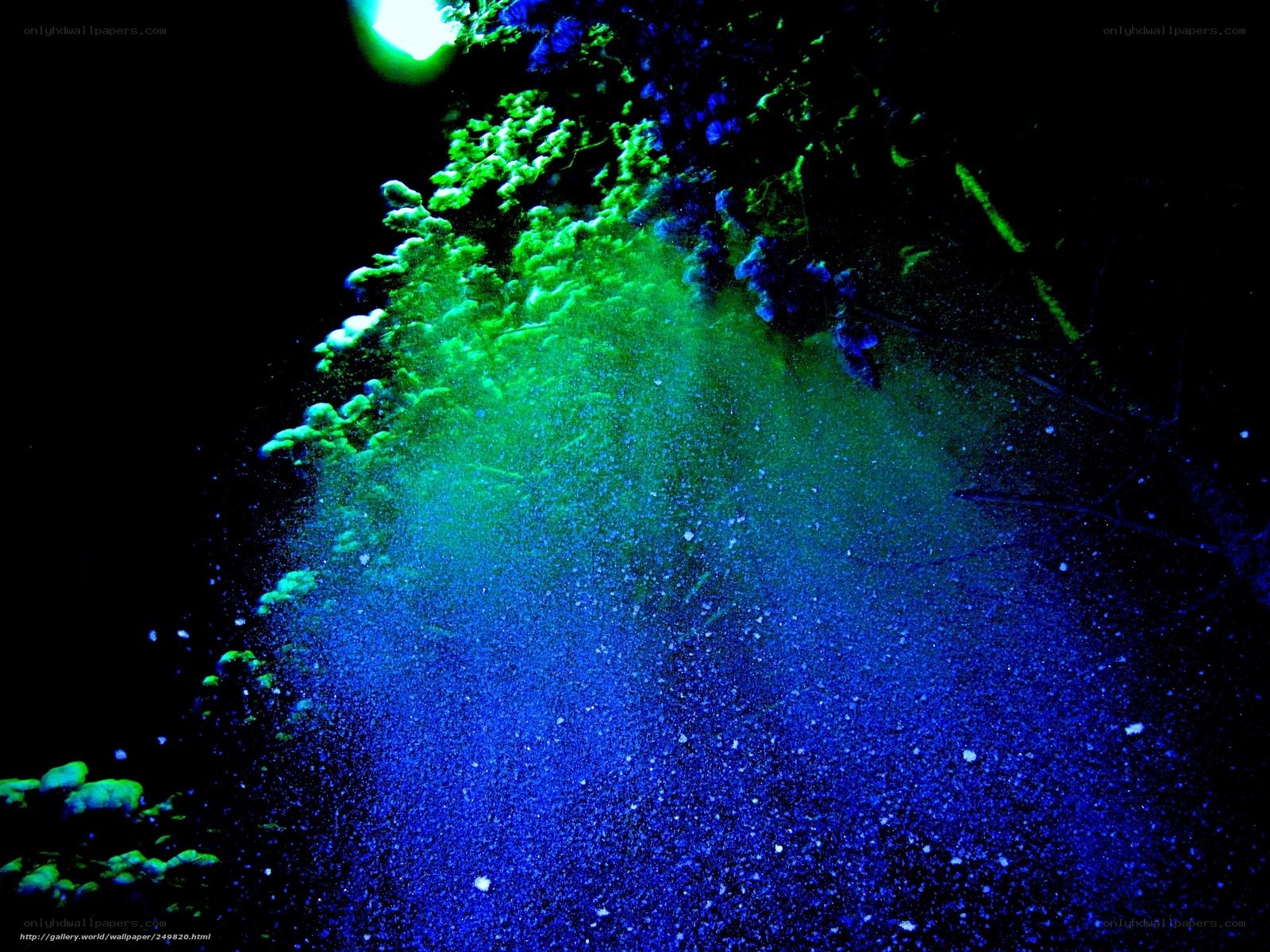 glowing particles in dark