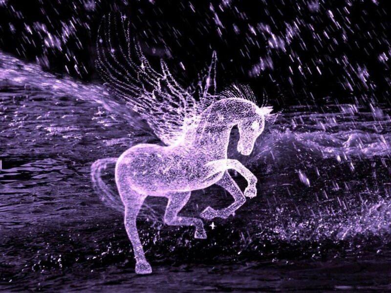 glowing pegasus in rain