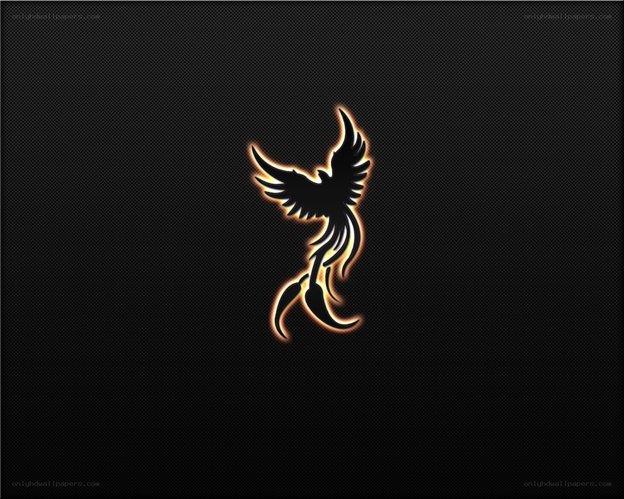 glowing phoenix logo