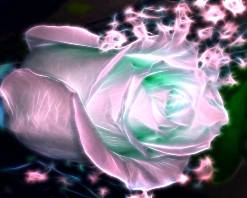 Glowing Pink and Green Rose — Ethereal