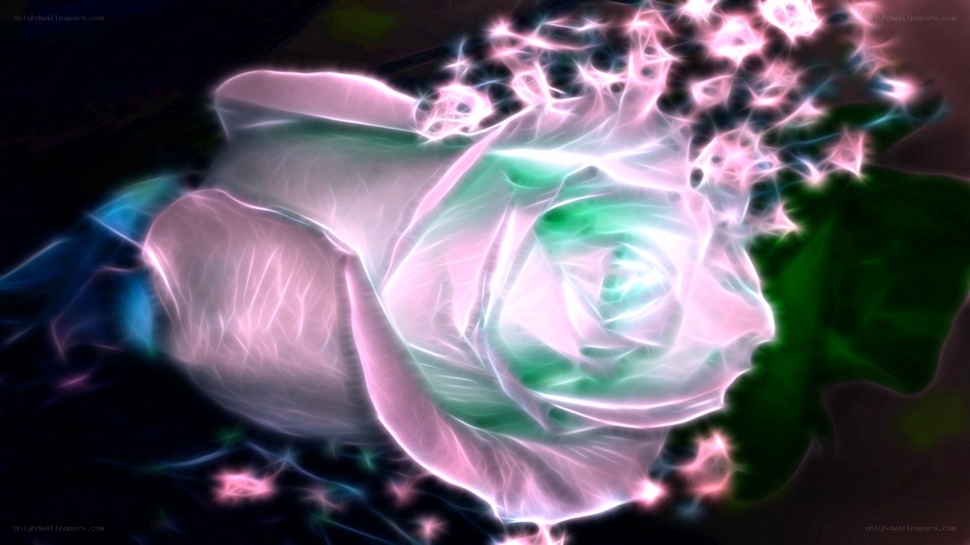 glowing pink and green rose