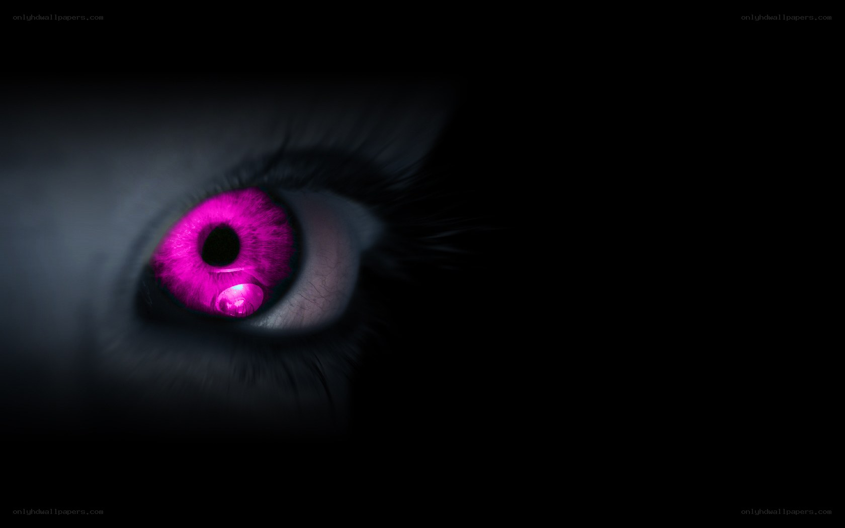 glowing pink eye in darkness