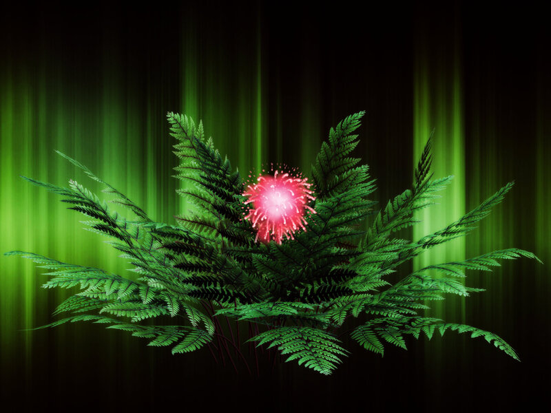Glowing Pink Flower — Green