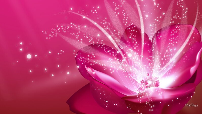 Glowing Pink Flower — Magical