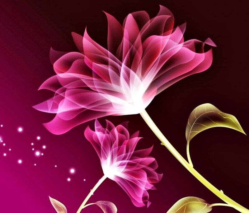 Glowing Pink Flowers — Ethereal