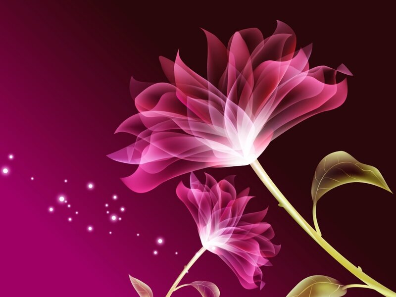 Glowing Pink Flowers — Purple, Dreamy, Digital Art