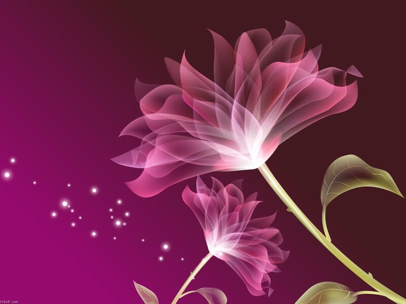 Glowing Pink Flowers — Purple, Dreamy