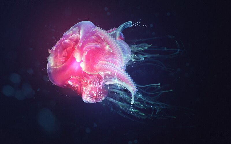 Glowing Pink Jellyfish — Serene