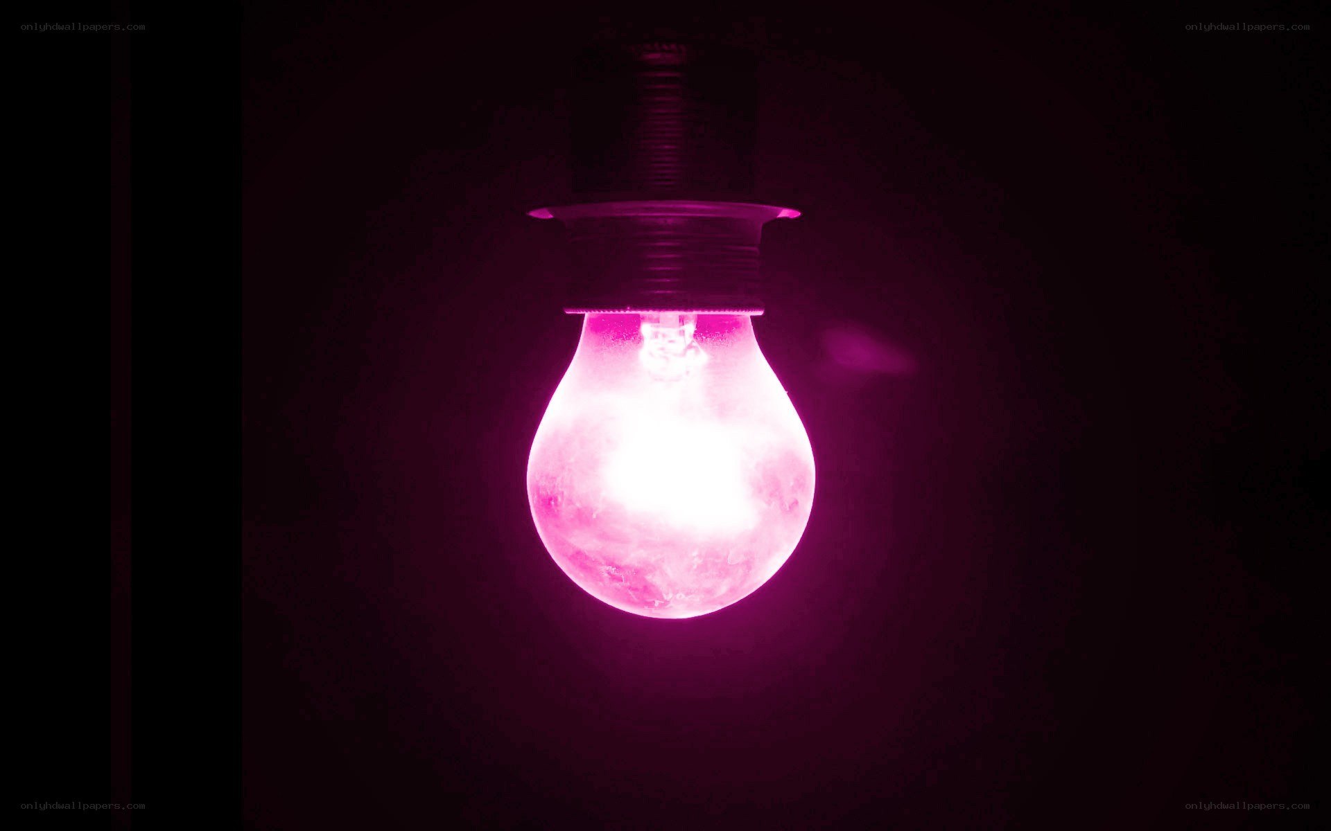 glowing pink light bulb