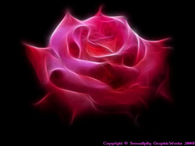 Glowing Pink Rose — Dramatic, Digital Art