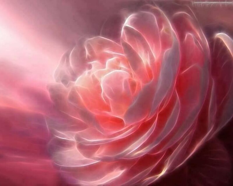 Glowing Pink Rose — Ethereal, Digital Art, Petals