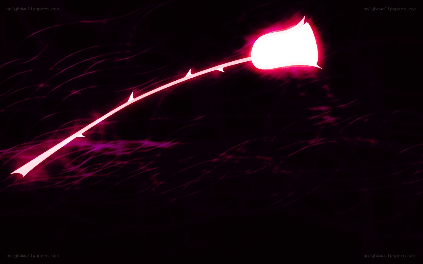 glowing pink rose