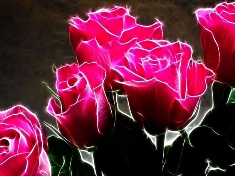 Glowing Pink Roses — Dramatic, Digital Art