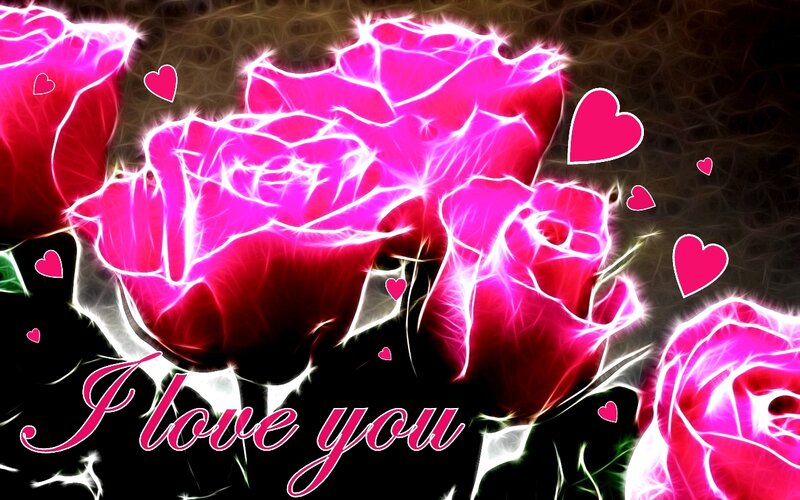Glowing Pink Roses — Romantic