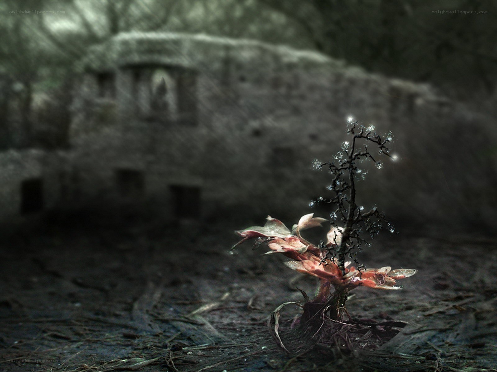 Glowing plant in ruins