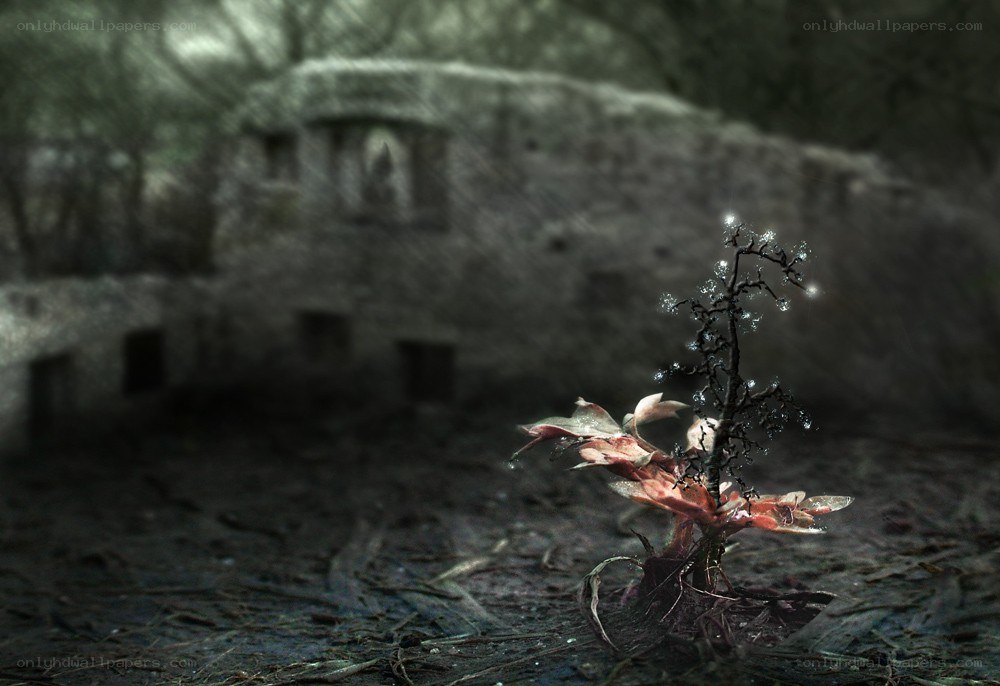 Glowing plant in ruins