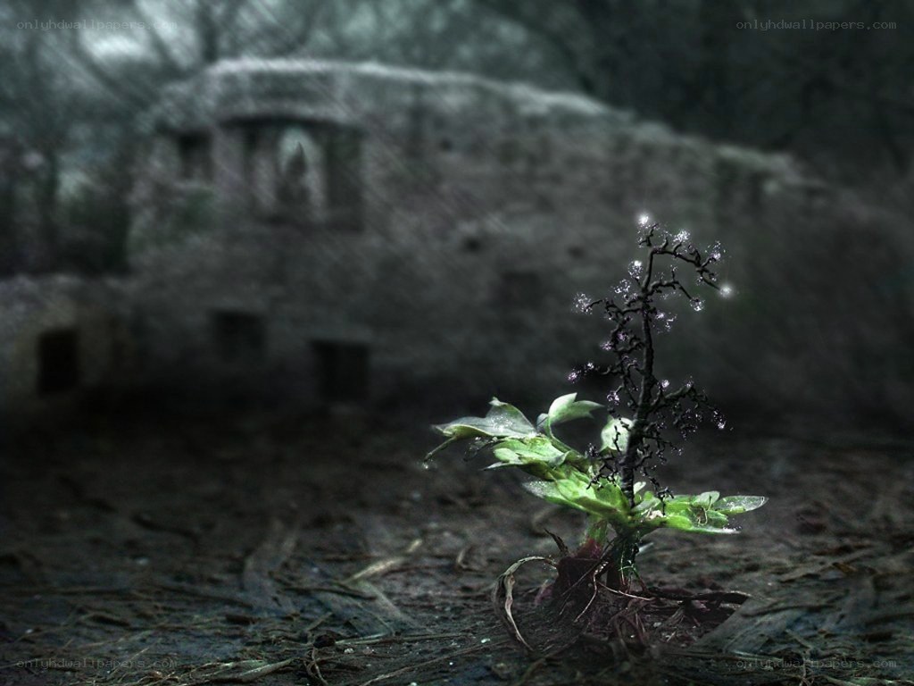 Glowing plant in ruins