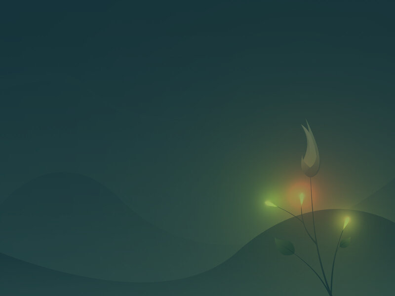 glowing plant on hills