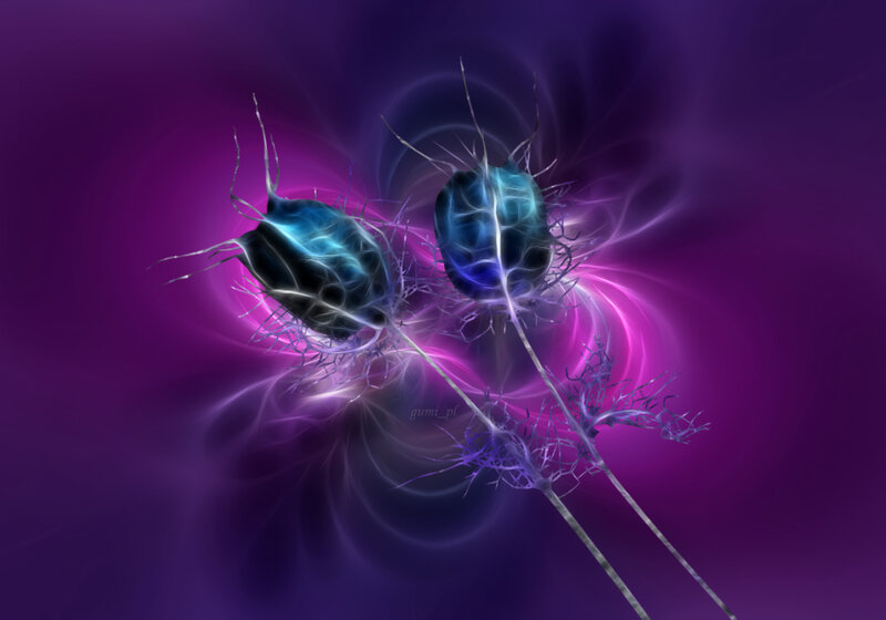 Glowing Plant Pods