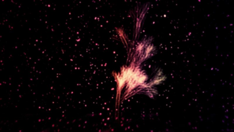 Glowing Plant Structure — Black