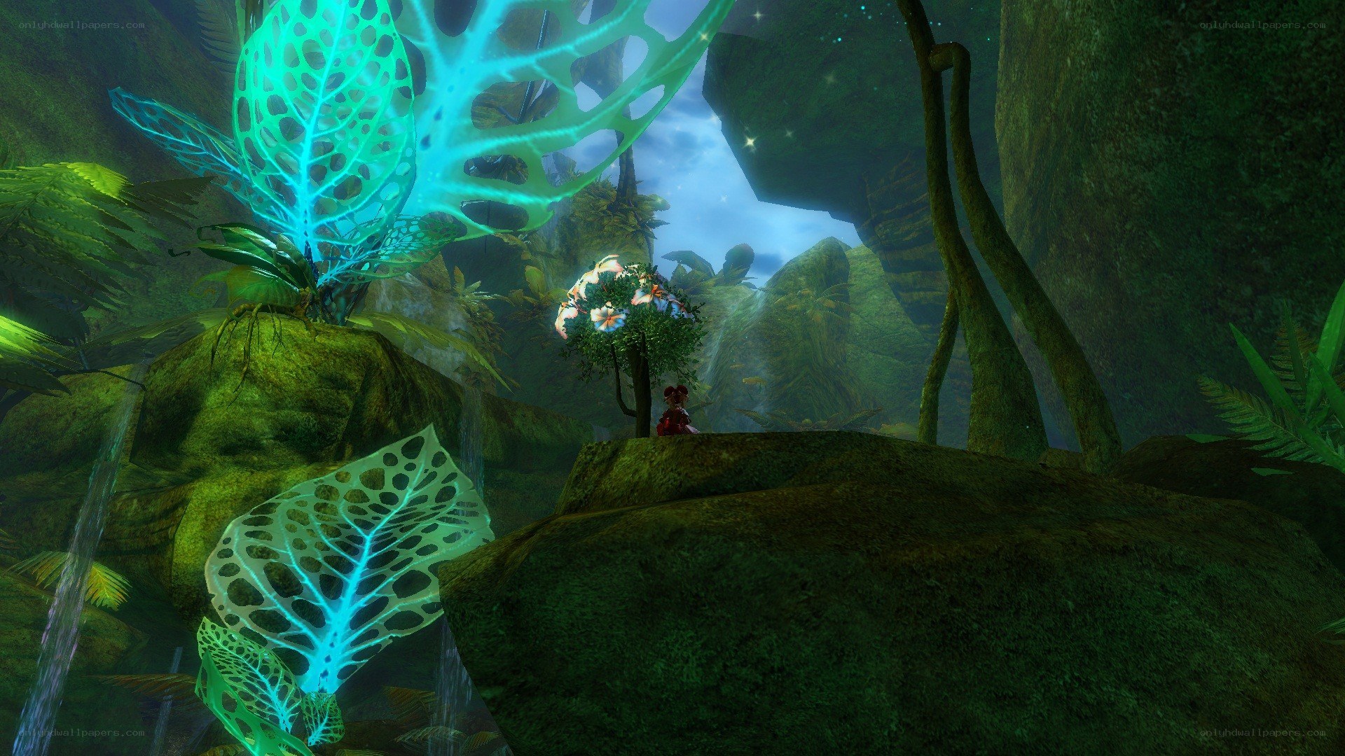 glowing plants in a cave