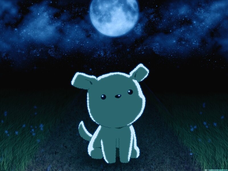 Glowing Puppy in Field