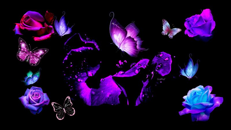 Glowing Purple and Blue Roses