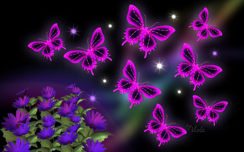 Glowing Purple Butterflies — Dreamy
