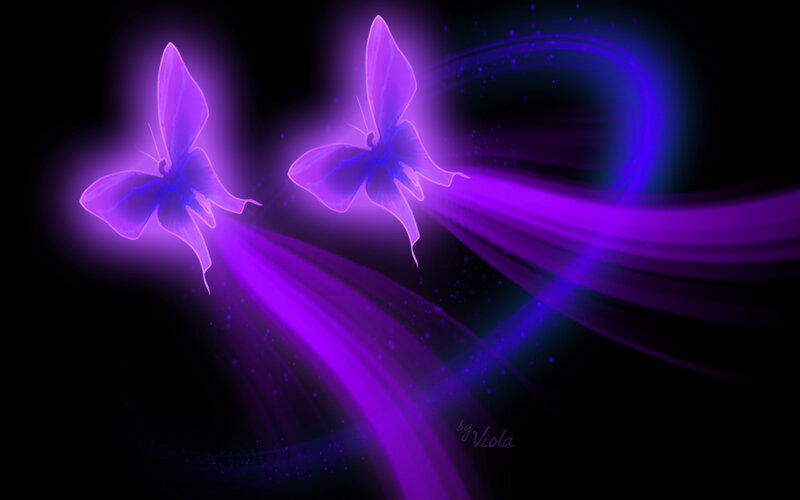 Glowing Purple Butterflies — Ethereal