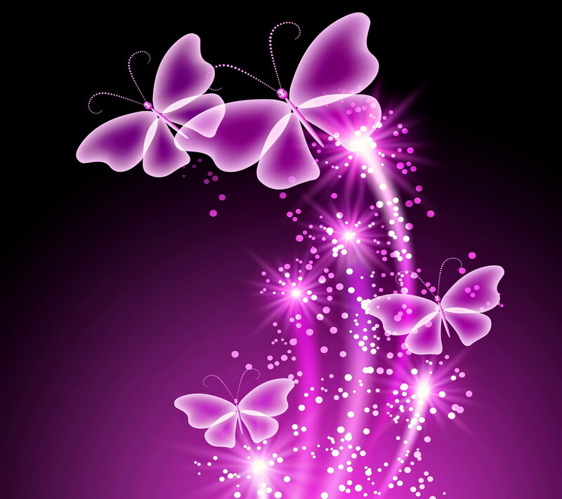 Glowing Purple Butterflies — Magical, Night