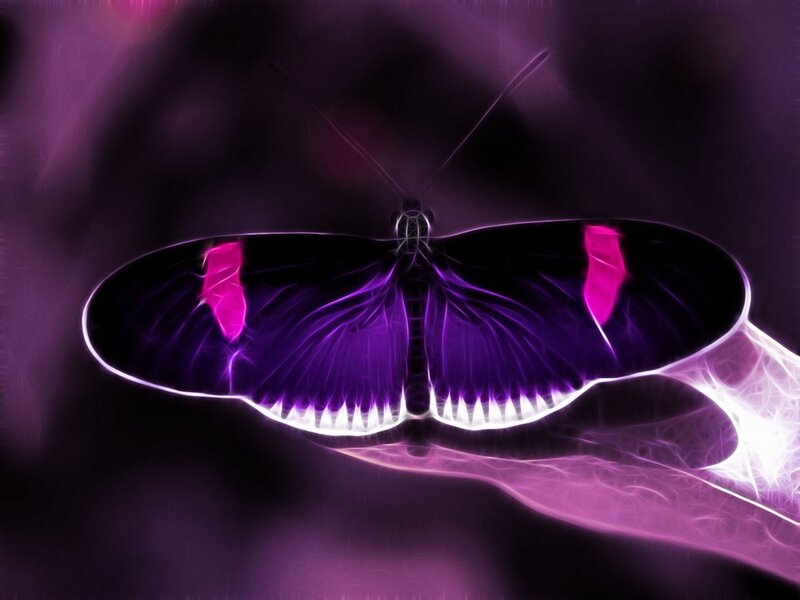 glowing purple butterfly