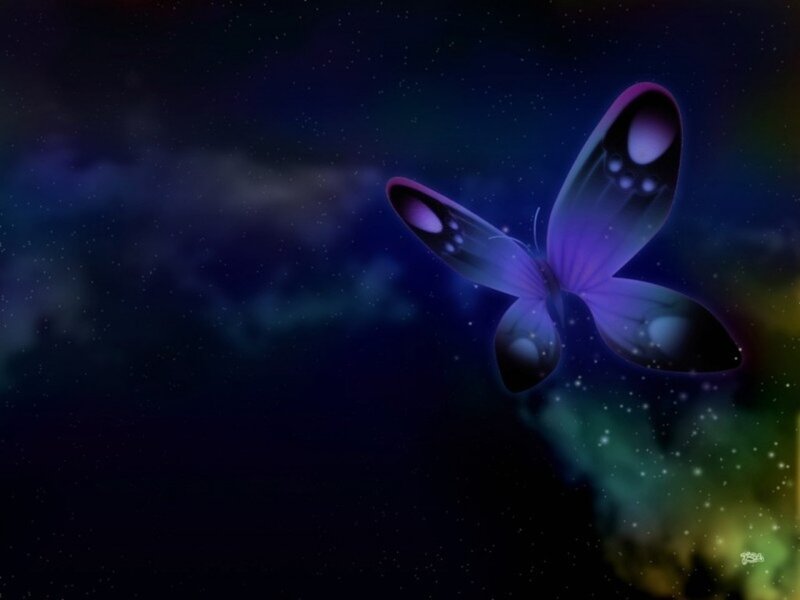 Glowing Purple Butterfly — Serene, Night