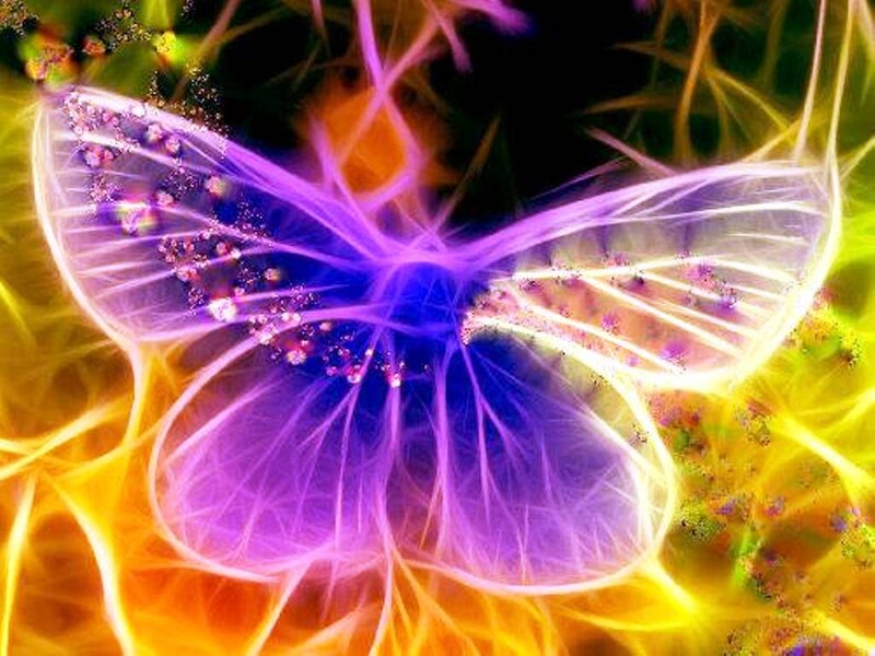 Glowing Purple Butterfly — Vibrant