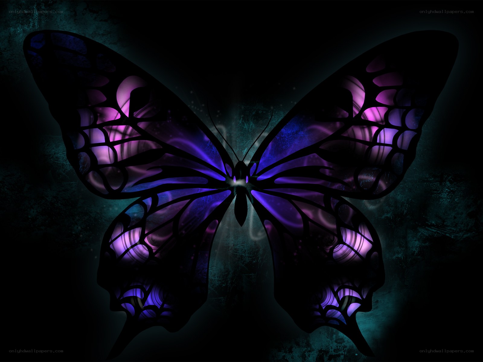 glowing purple butterfly