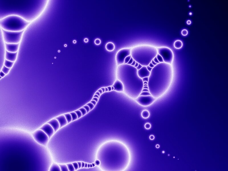 glowing purple cellular structures
