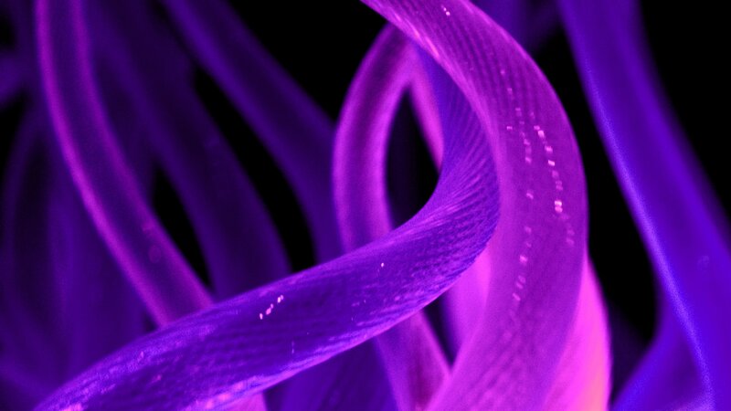 glowing purple fiber optic strands