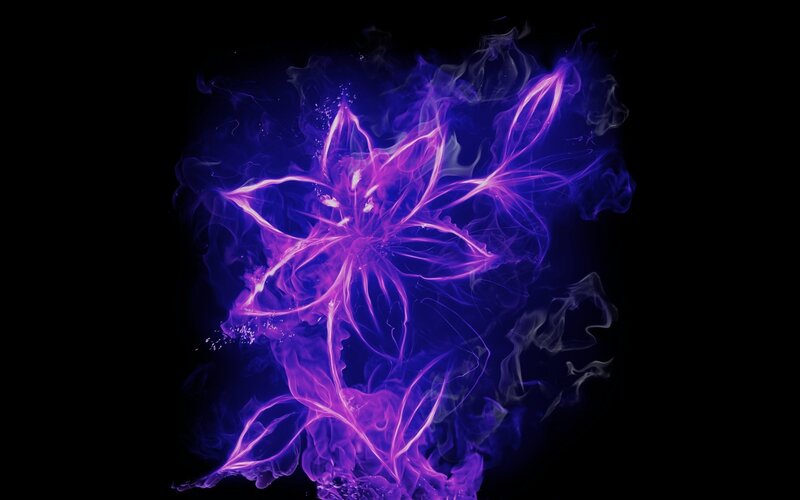 glowing purple flower