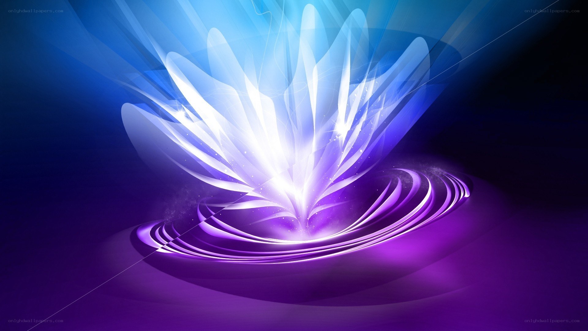 glowing purple flower abstract