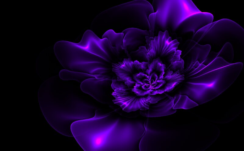 Glowing Purple Flower — Dramatic
