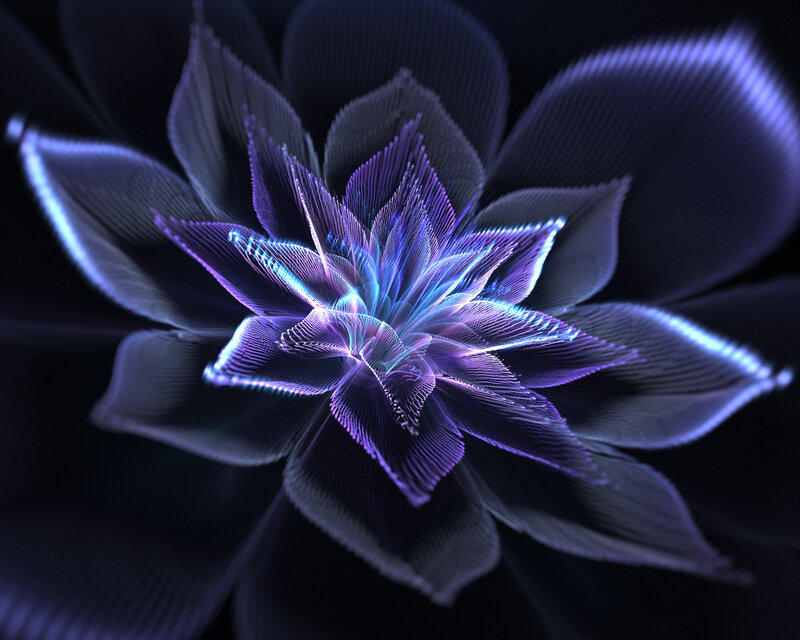 Glowing Purple Flower — Ethereal, Night