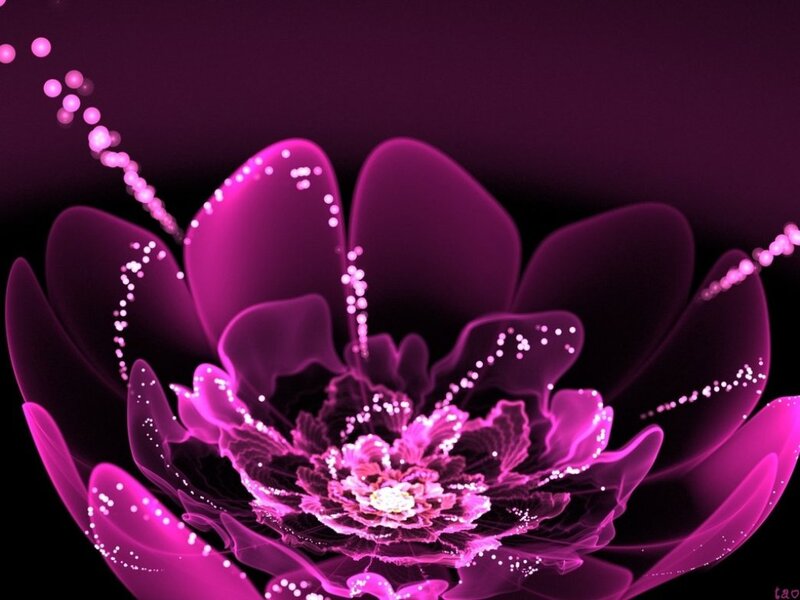 Glowing Purple Flower — Ethereal