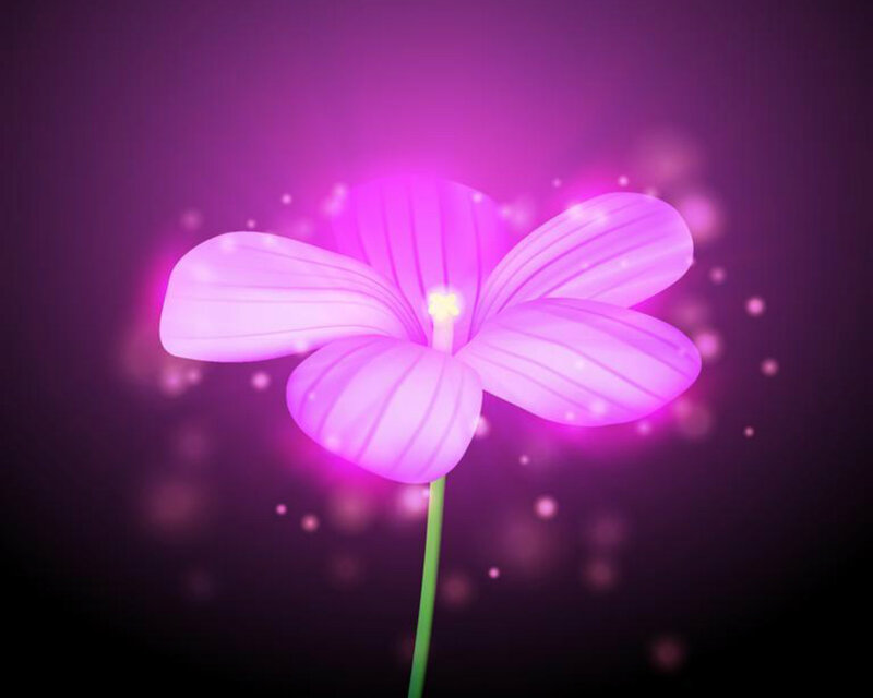 Glowing Purple Flower — Magical