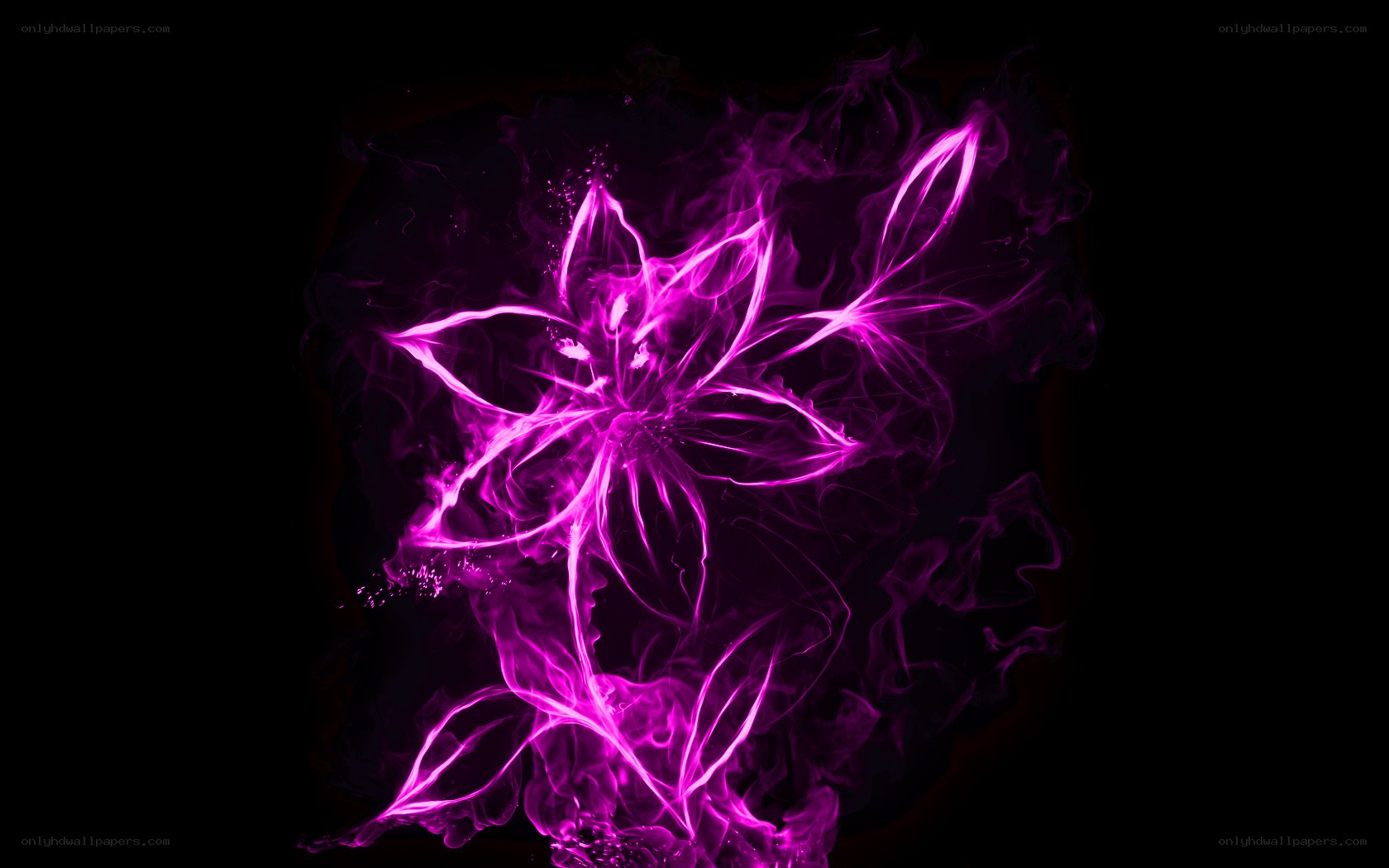 glowing purple flower