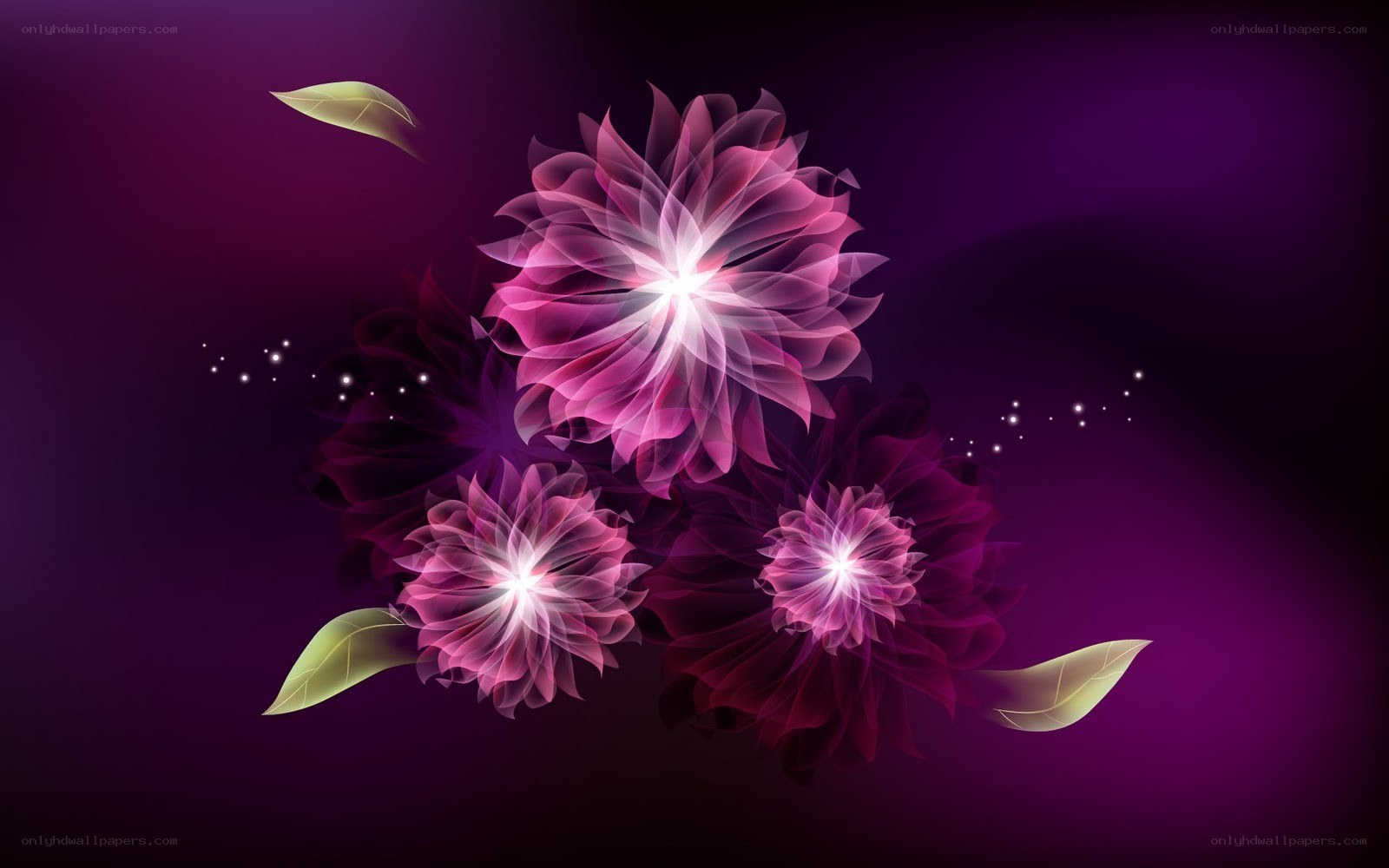 glowing purple flowers
