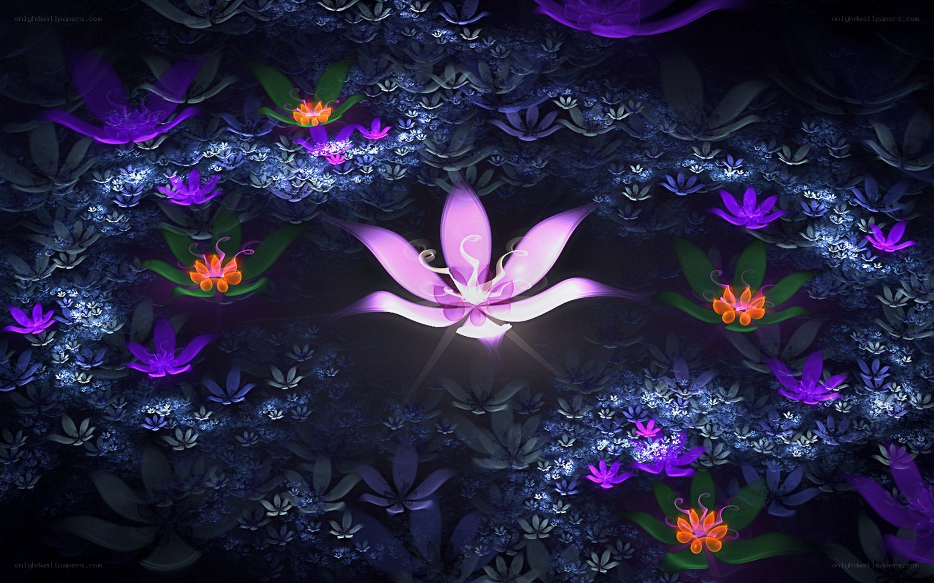 glowing purple flowers at night