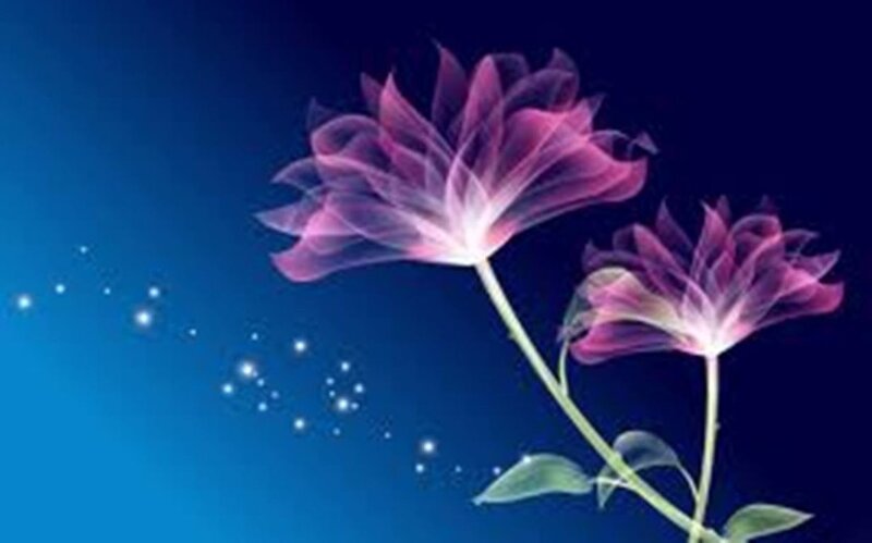 Glowing Purple Flowers — Blue