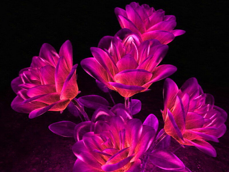 Glowing Purple Flowers — Dramatic, Night, Digital Art